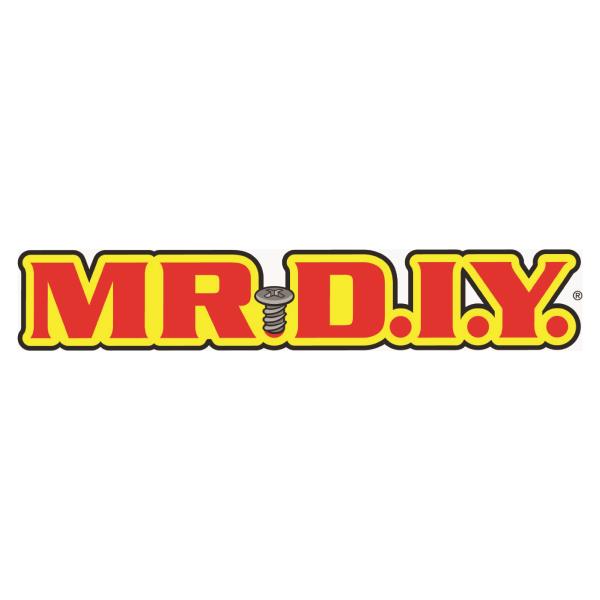 Mr. D.I.Y.